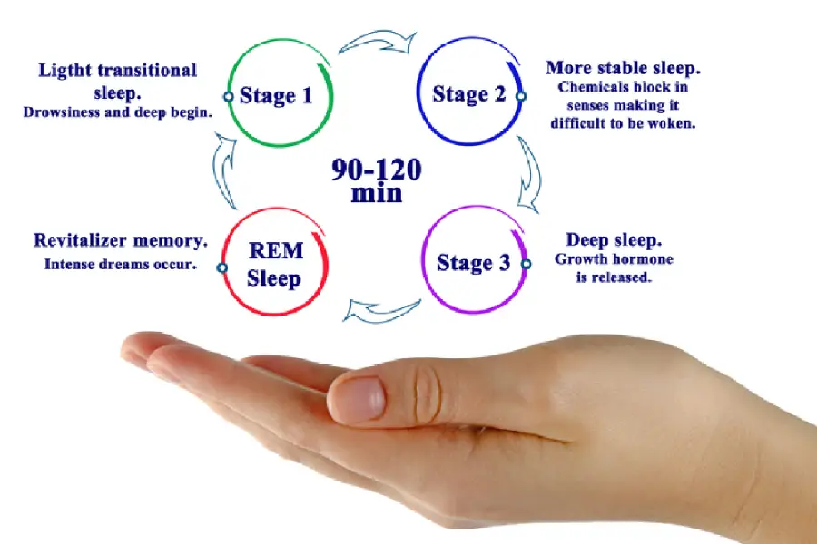image 2024 12 17T120752.779 Sleep Apnea