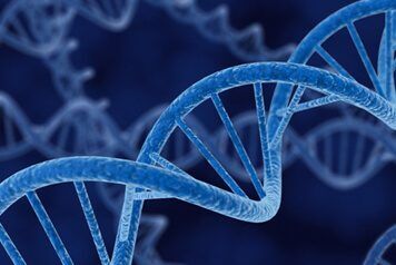 ginatic gum Gum Bleaching