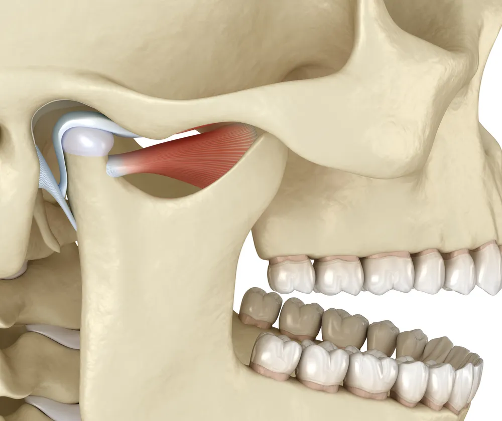 Temporomandibula Joint Disorders Oral and Maxillofacial Surgery